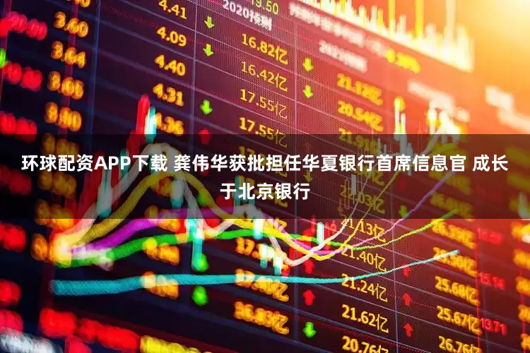 环球配资APP下载 龚伟华获批担任华夏银行首席信息官 成长于北京银行