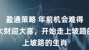 盈通策略 年前机会难得，接大财迎大喜，开始走上坡路的生肖