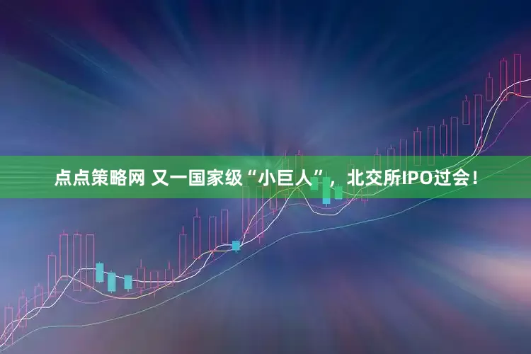 点点策略网 又一国家级“小巨人”，北交所IPO过会！